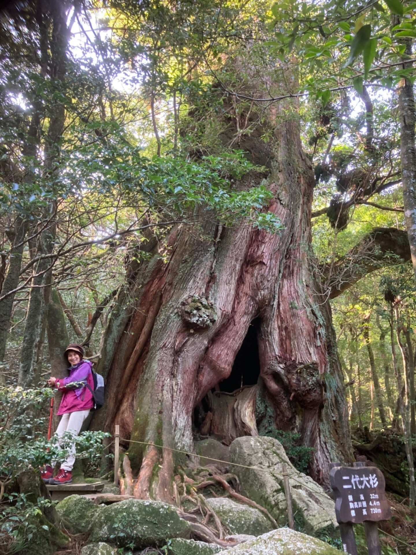 屋久島〜大地のエネルギーと共に