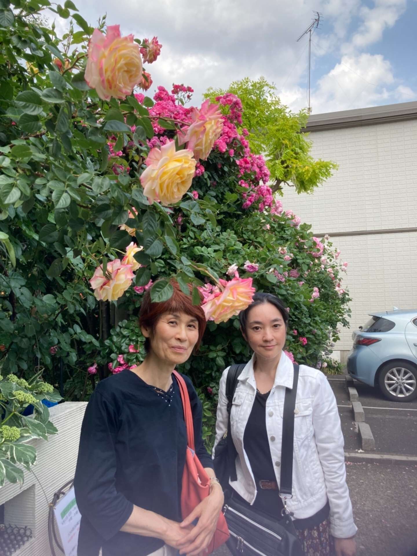 薔薇の会