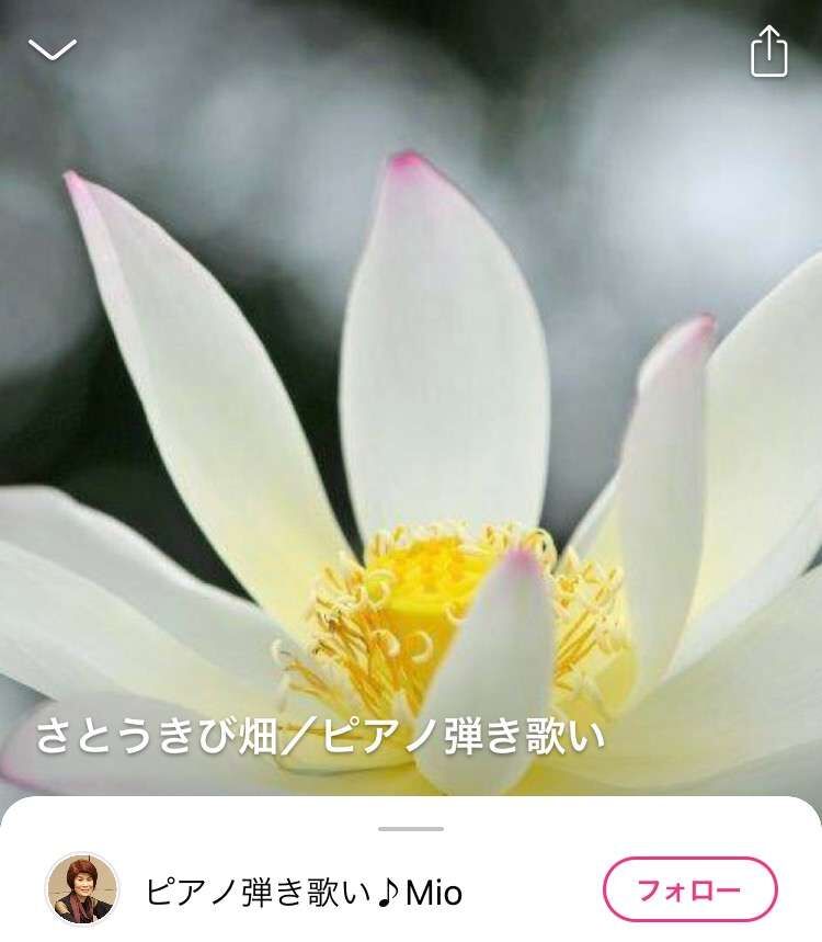 終戦記念日に寄せて