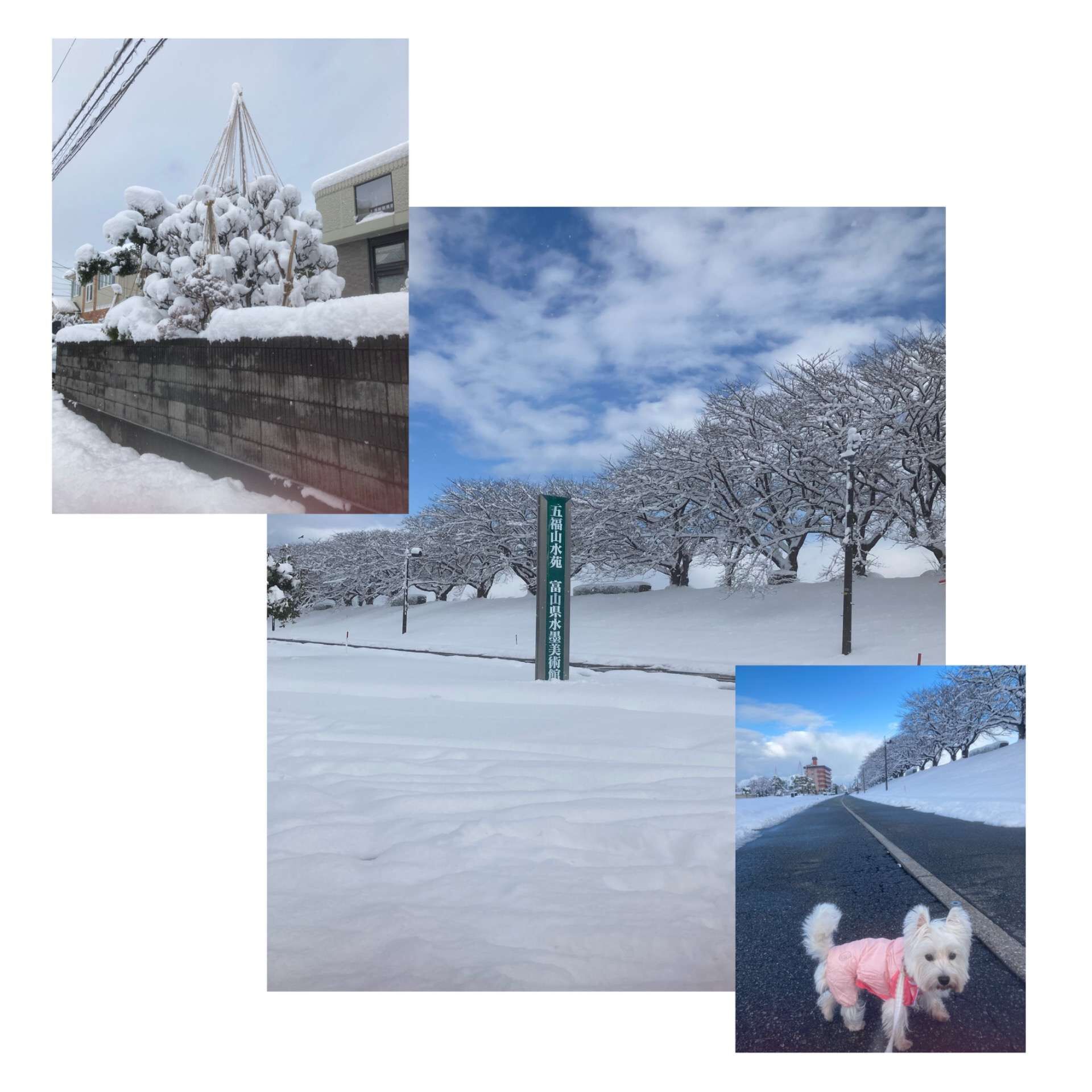 母との時間