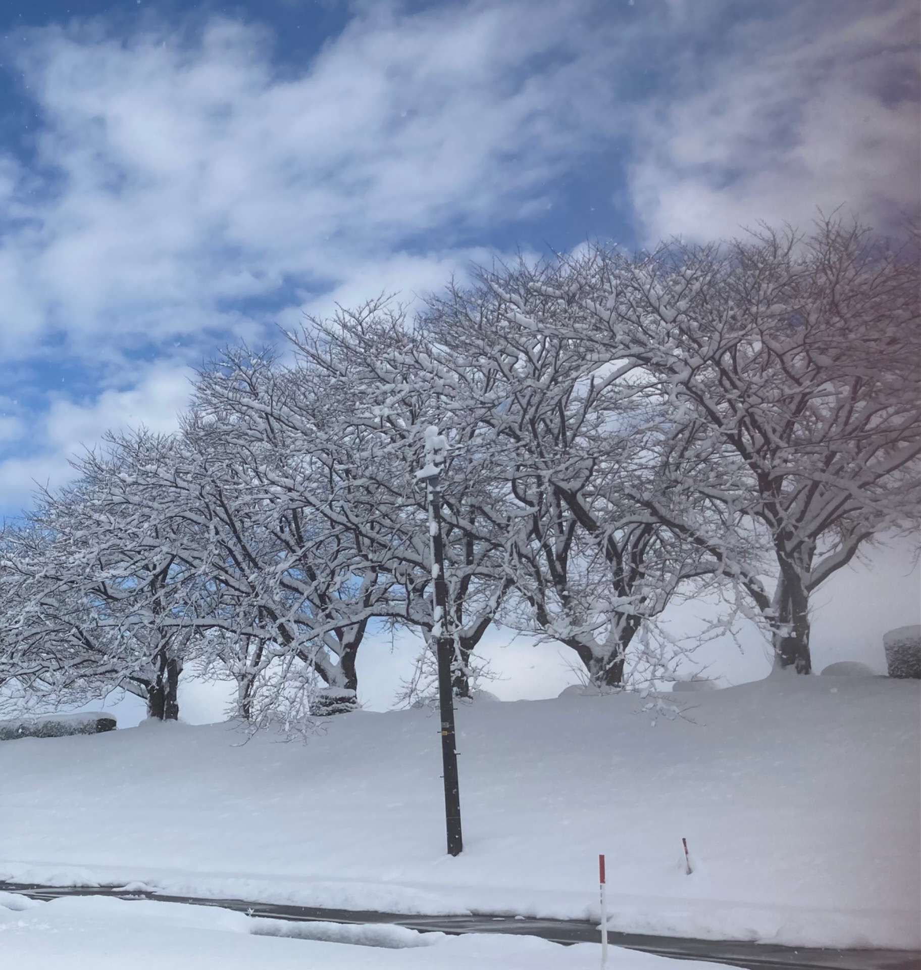 スタンドFM「雪の降る街を」